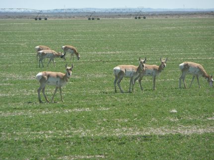 Property for sale in Lake County, Oregon