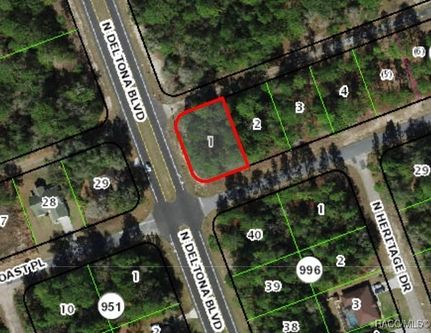 Undeveloped Land for sale in Citrus County, Florida