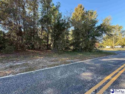 Property for sale in Chesterfield County, South Carolina