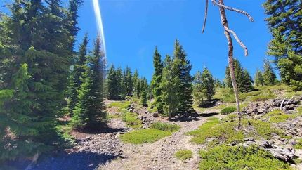 Property for sale in Siskiyou County, California
