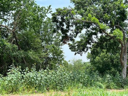 Undeveloped Land for sale in Bryan County, Oklahoma