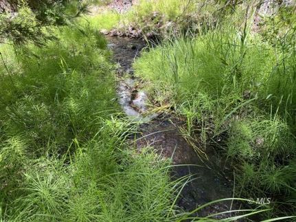 Residential Property for sale in Lassen County, California