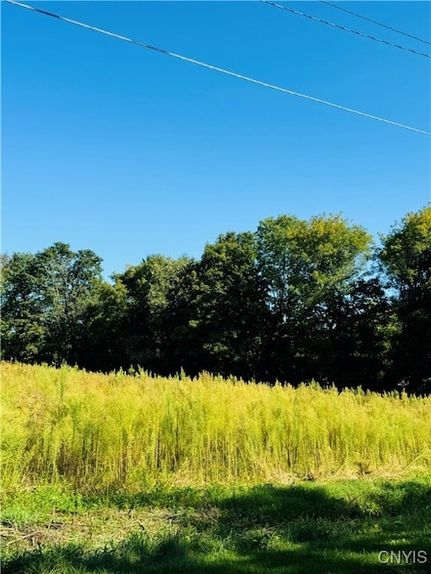 Undeveloped Land for sale in Tompkins County, New York