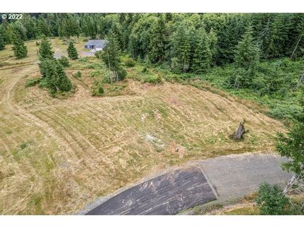 Undeveloped Land for sale in Cowlitz County, Washington