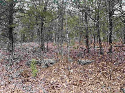 Property for sale in Fulton County, Arkansas