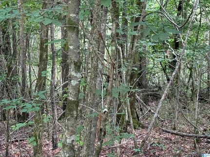 Undeveloped Land for sale in Etowah County, Alabama