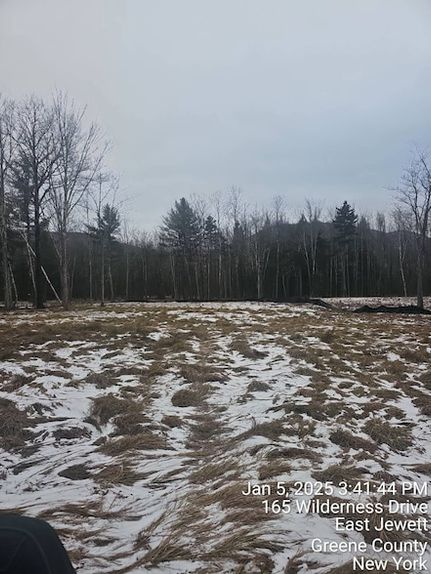 Undeveloped Land for sale in Greene County, New York