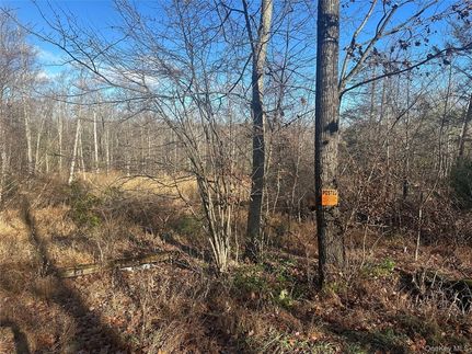 Undeveloped Land for sale in Ulster County, New York