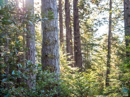 Property for sale in Mendocino County, California