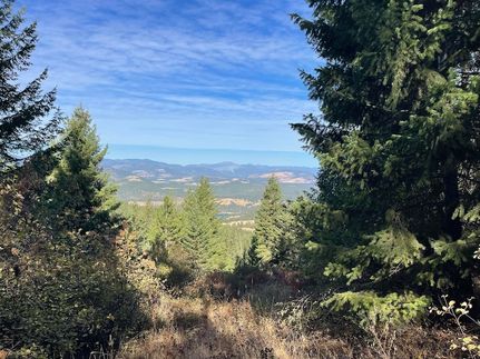 Undeveloped Land for sale in Stevens County, Washington