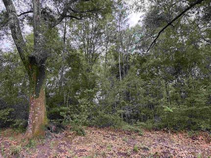 Property for sale in Covington County, Alabama