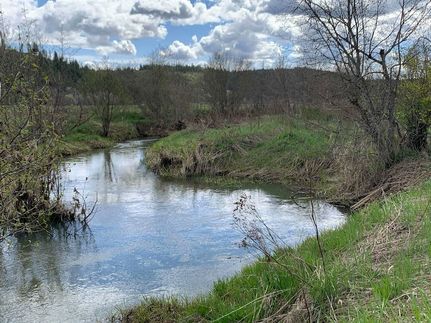 Undeveloped Land for sale in Stevens County, Washington