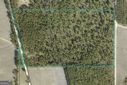 Property for sale in Appling County, Georgia