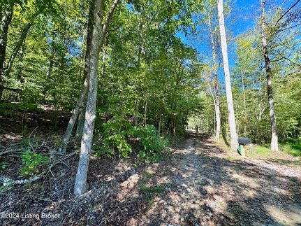 Property for sale in Marion County, Kentucky