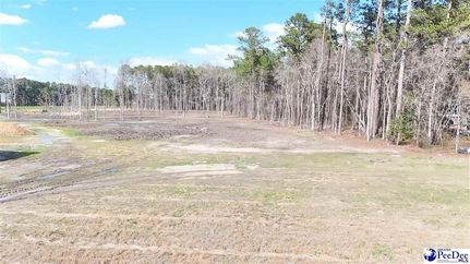 Property for sale in Florence County, South Carolina