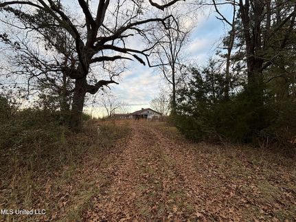 Property for sale in Newton County, Mississippi