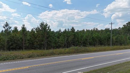 Property for sale in Orangeburg County, South Carolina