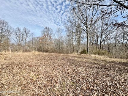 Property for sale in Tate County, Mississippi