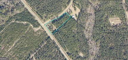 Undeveloped Land for sale in Laurens County, Georgia