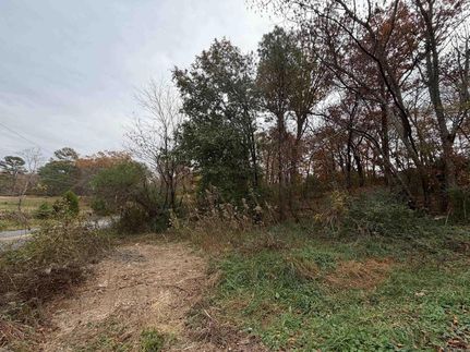 Undeveloped Land for sale in Garland County, Arkansas