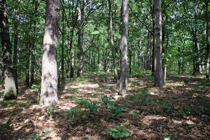 Recreational Property for sale in Delaware County, Oklahoma