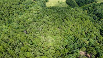 Undeveloped Land for sale in Delaware County, Oklahoma