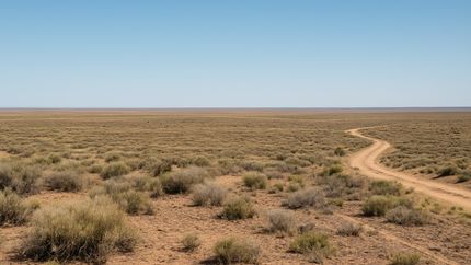 Property for sale in Apache County, Arizona