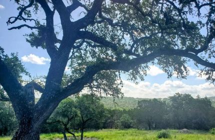 Property for sale in Comal County, Texas