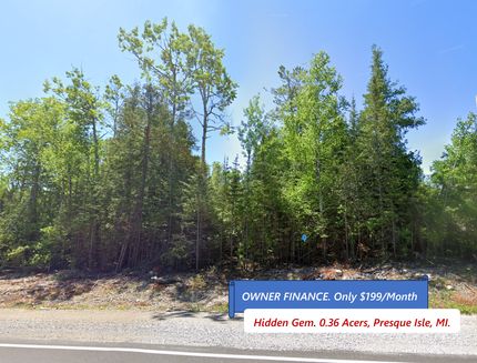 Undeveloped Land for sale in Presque Isle County, Michigan