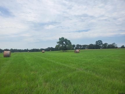 Property for sale in Henderson County, Texas