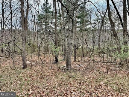 Property for sale in Mineral County, West Virginia