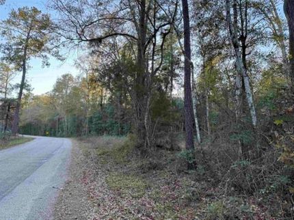 Property for sale in Jasper County, Texas