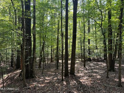 Property for sale in Yazoo County, Mississippi