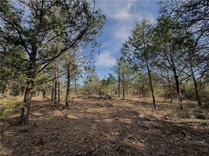Property for sale in Burleson County, Texas
