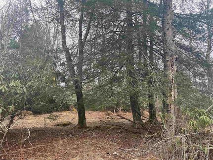 Property for sale in Tucker County, West Virginia