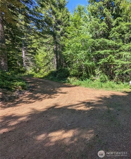 Undeveloped Land for sale in Mason County, Washington