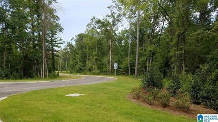 Undeveloped Land for sale in Shelby County, Alabama