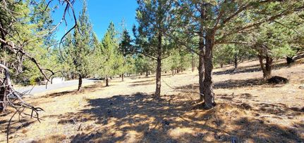 Property for sale in Siskiyou County, California