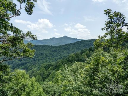 Undeveloped Land for sale in Buncombe County, North Carolina