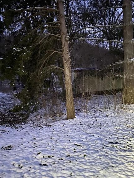 Property for sale in Lewis County, Kentucky