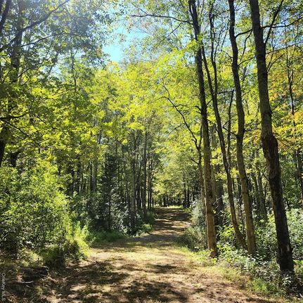 Undeveloped Land for sale in Sullivan County, New York