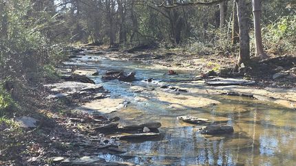 Property for sale in Maury County, Tennessee