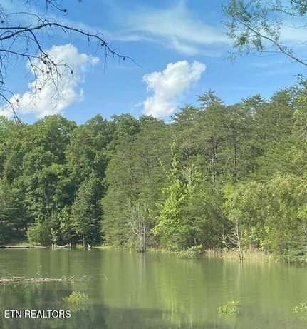 Property for sale in Sevier County, Tennessee