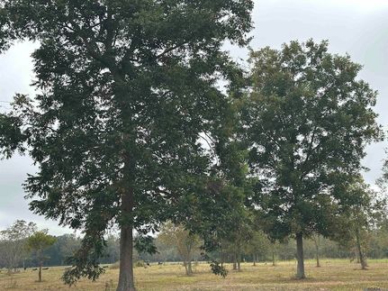 Property for sale in Pointe Coupee Parish, Louisiana