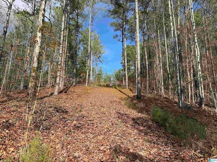 Property for sale in Saint Clair County, Alabama