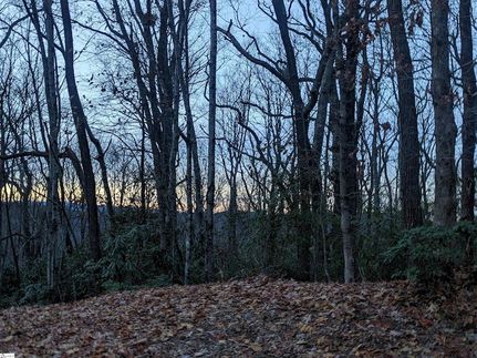 Property for sale in Greenville County, South Carolina