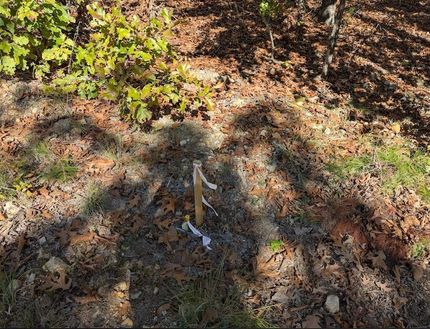 Property for sale in Fulton County, Arkansas