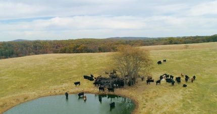 Property for sale in Ozark County, Missouri