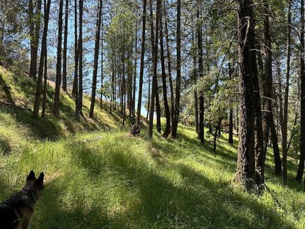 Property for sale in El Dorado County, California