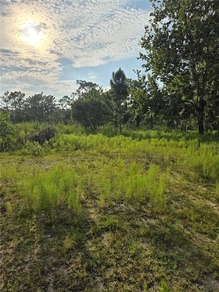 Property for sale in Okeechobee County, Florida